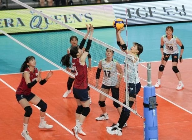 이겼는데 왜 욕먹나? 배구 <b>한일전</b> 심판 <b>논란</b>