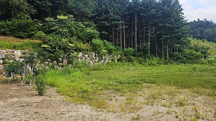 계곡예쁜집 사진 3