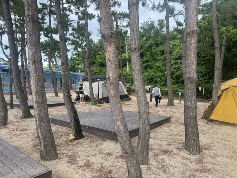 사진 3