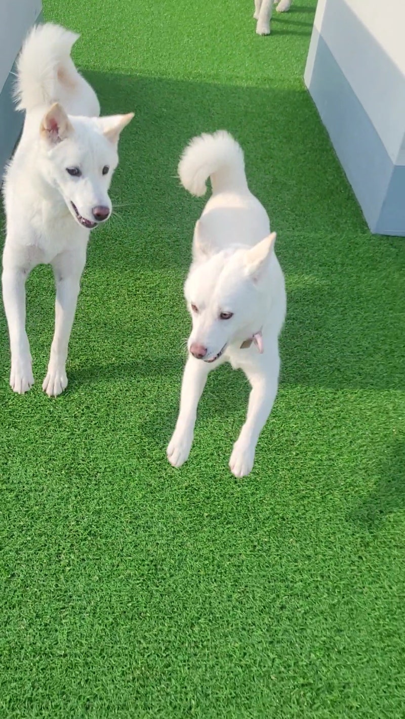 사진 6