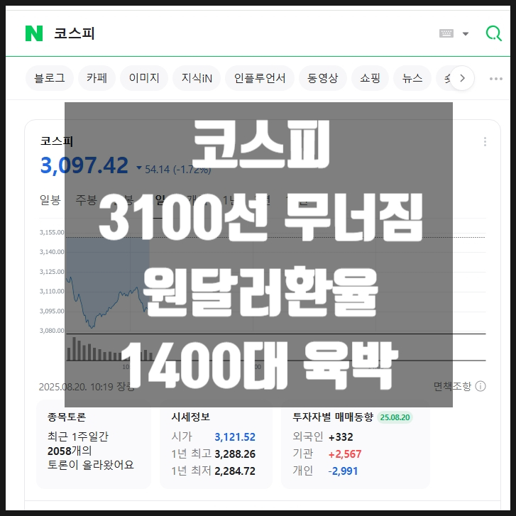 코스피 3000대로 무너짐 /  원달러환율 1400원 육박 (2025년 8월 20일)