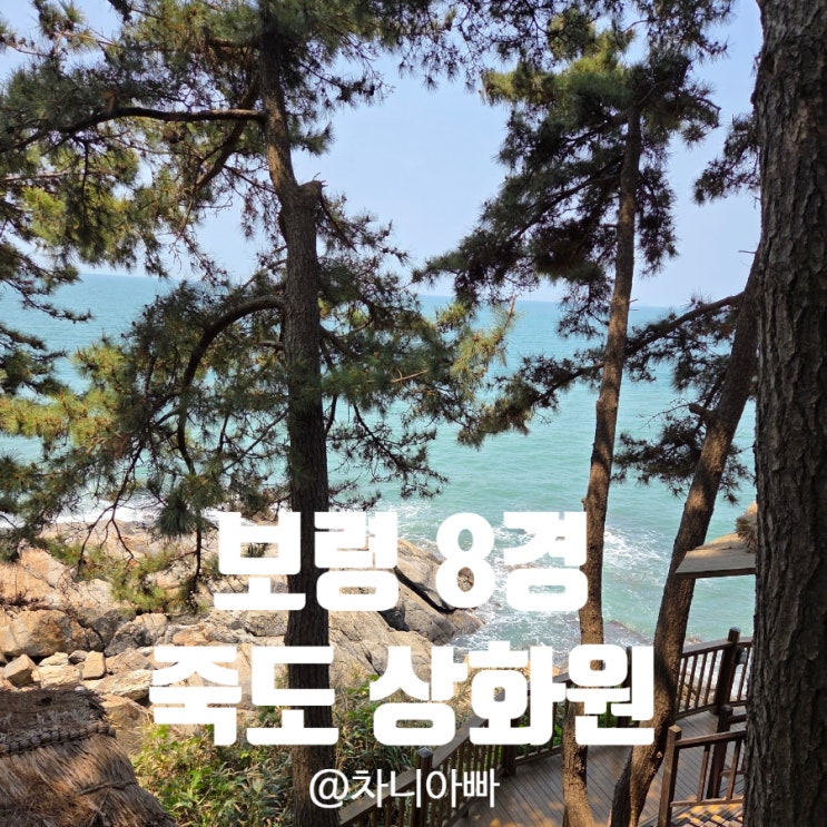 충남 보령 8경 가볼 만한 곳 죽도 상화원 방문 후기