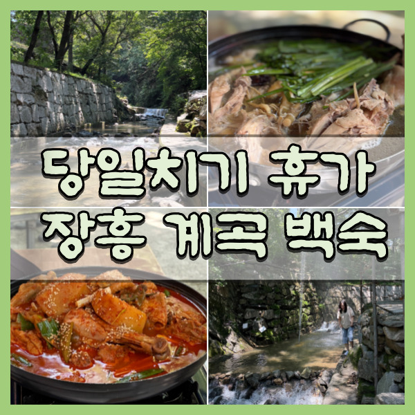  장흥 해뜨는집 당일치기 여름휴가는 계곡에서 먹는 백숙