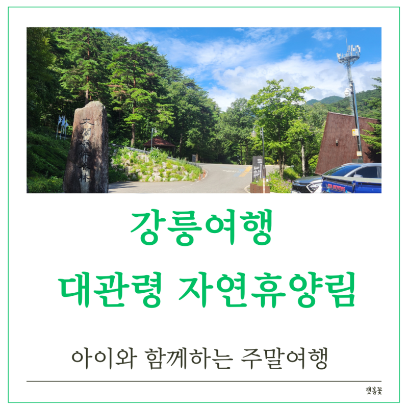 강릉여행 대관령자연휴양림 강릉가성비숙소 바다근교 자연휴양림