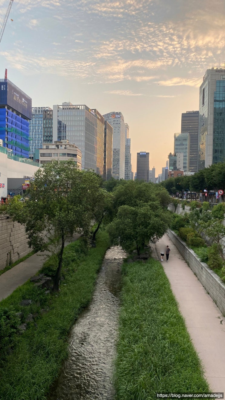  청계천 산책하며 만난 600년 역사 이야기 - 수표교·전태일·백로까지
