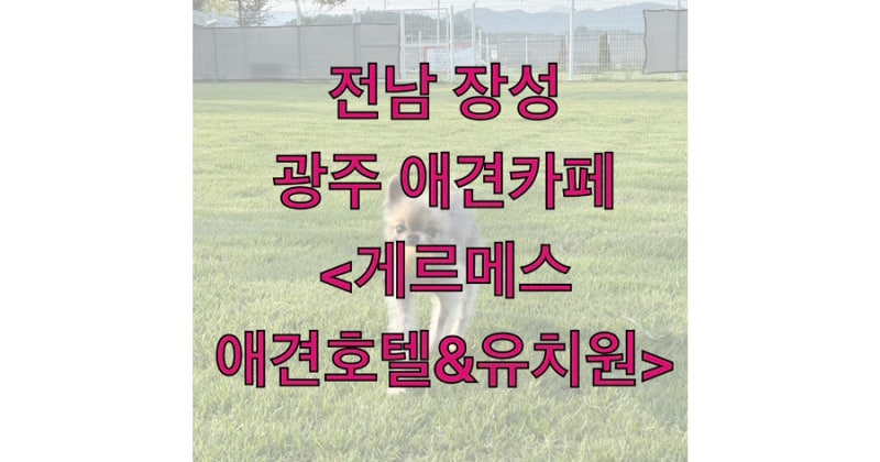 사진 4