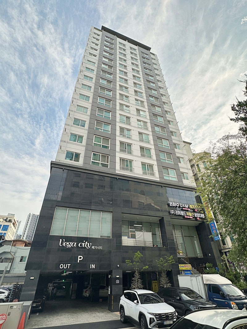 사진 2