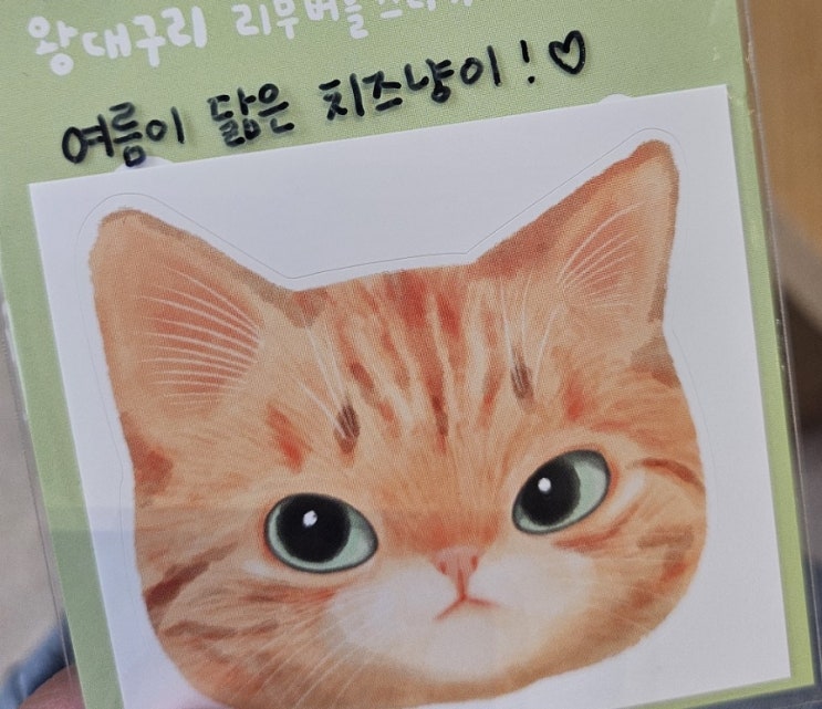  일상 | 8월, 귀여운것들로 연명하는 삶