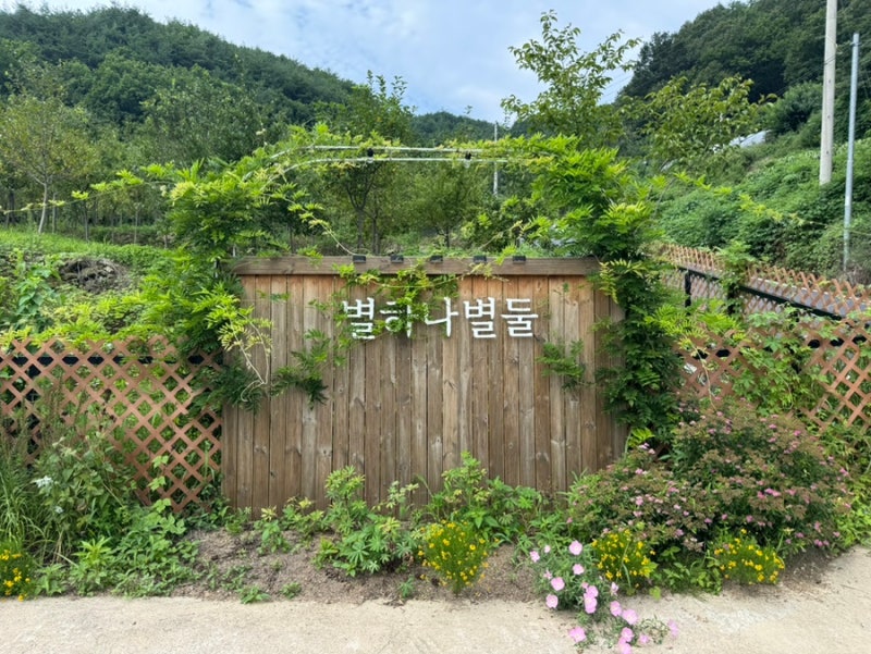 사진 5