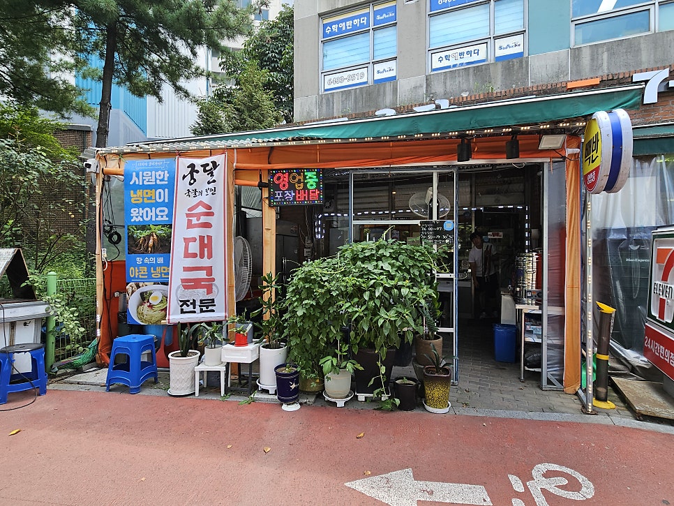 궁달 사진 2