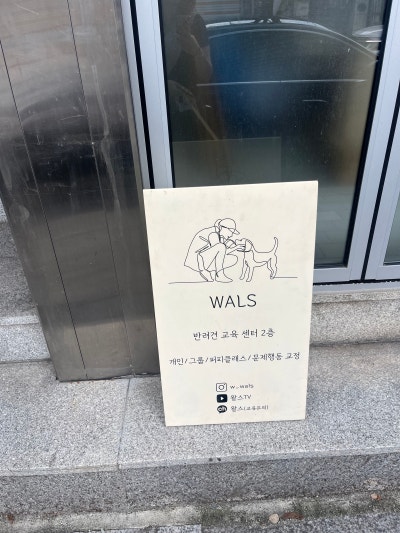 사진 8