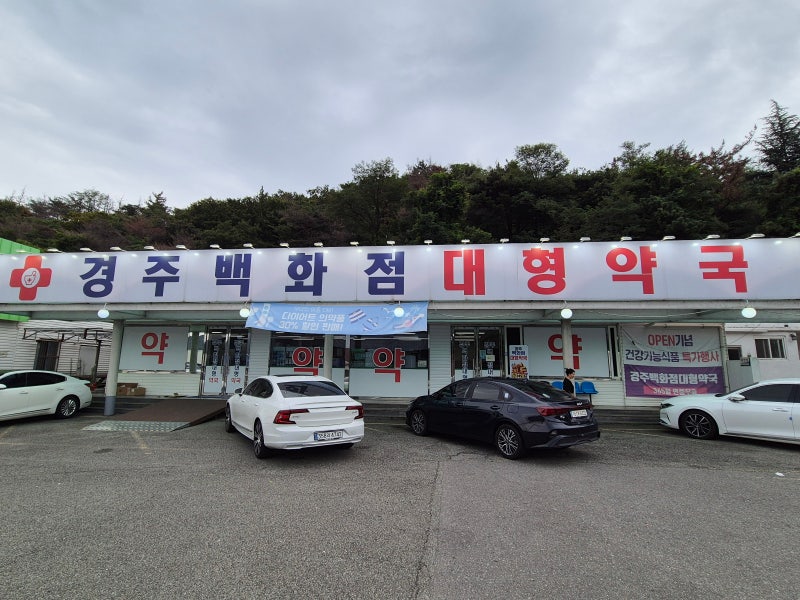 [경주] 경주백화점 대형약국 후기 정보