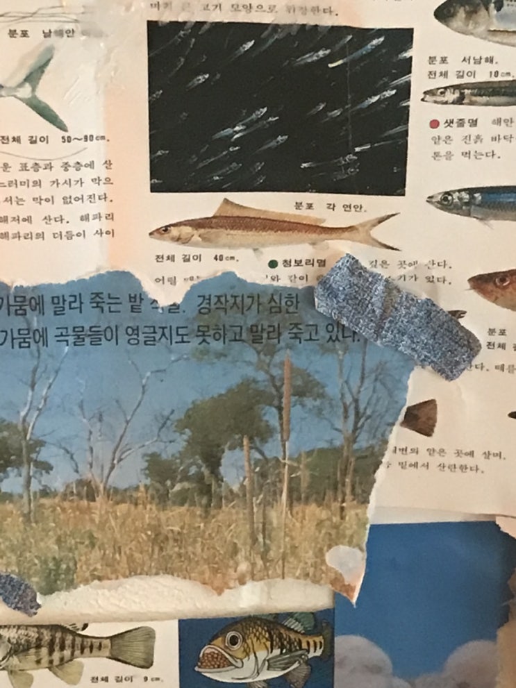  알츠하이머의 사랑