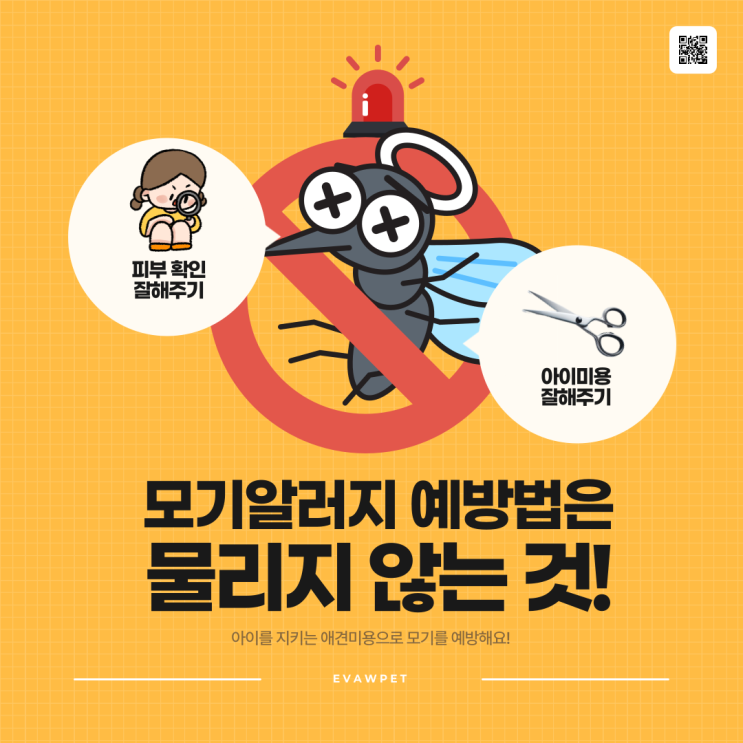  모기알러지, 강아지도 생긴다고요? 우리아이 보호하는 방법
