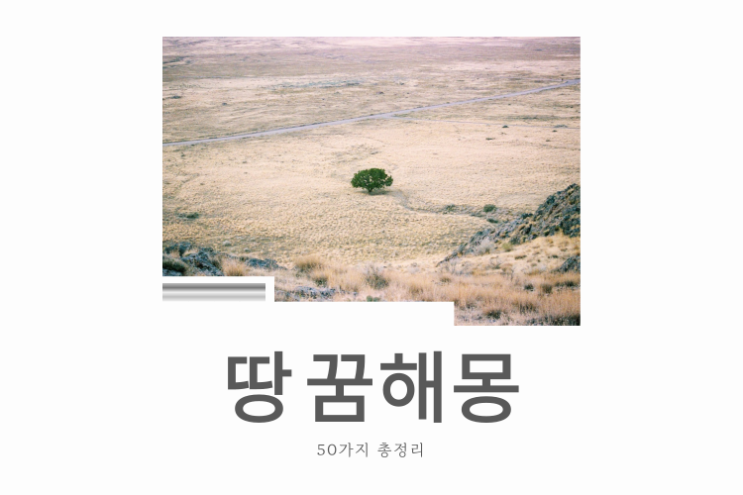  땅 꿈해몽