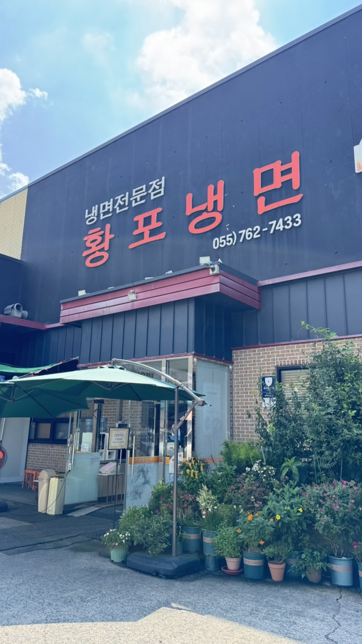  [진주 맛집] 진주 냉면 맛집 황포냉면, 줄서서 먹는 진주 냉면 맛집
