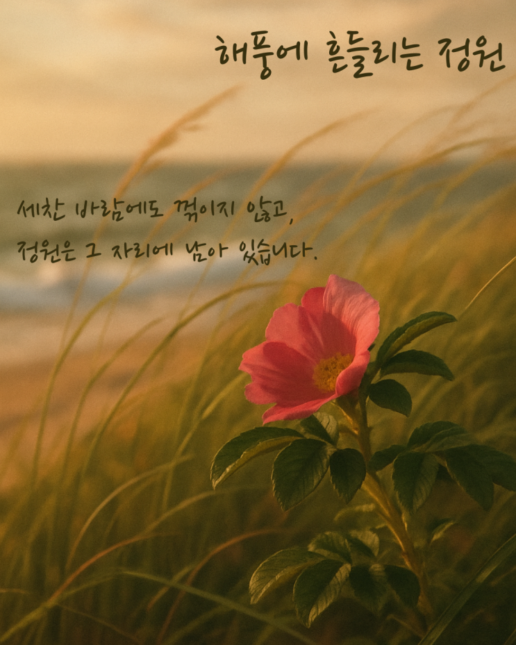   해당화로 보는 삶의 정원 6편 - 해풍에 흔들리는 정원