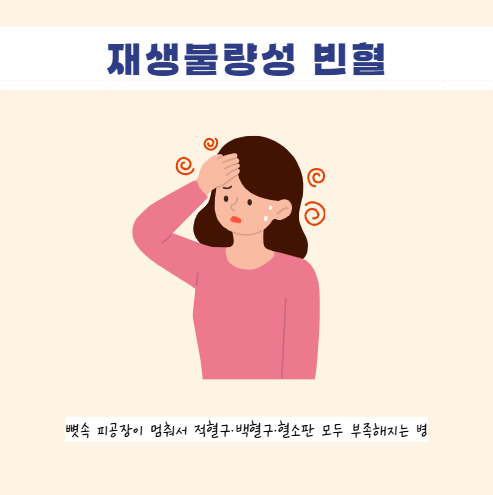 재생불량성 빈혈 뜻 원인 증상 검사 진단 치료 방법 골수부전 범혈구 감소증