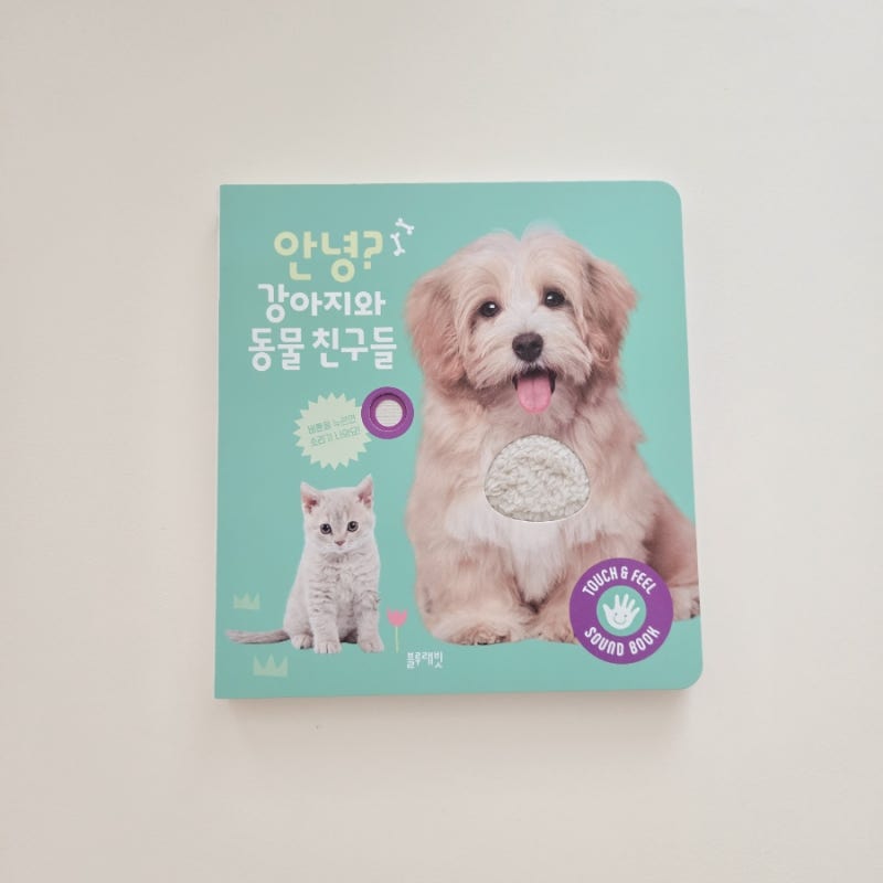 사진 7