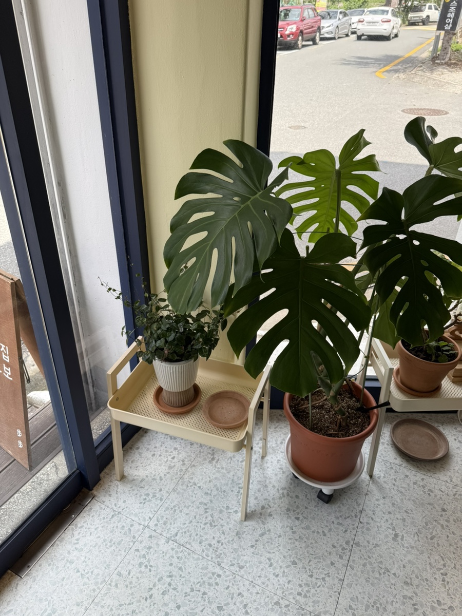 빵집보보 사진 4