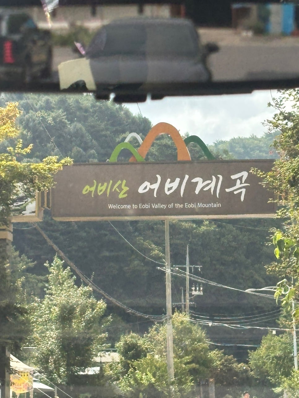 주목나무집 사진 1