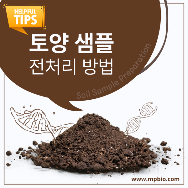  [실험 팁] 토양 샘플 전처리 방법 (Soil Sample Preparation)