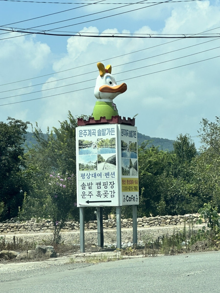 솔밭가든 사진 1