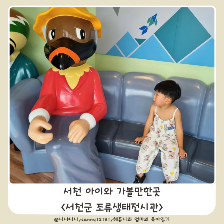  서천군 조류생태전시관 아이와 가볼만한곳 전주근교