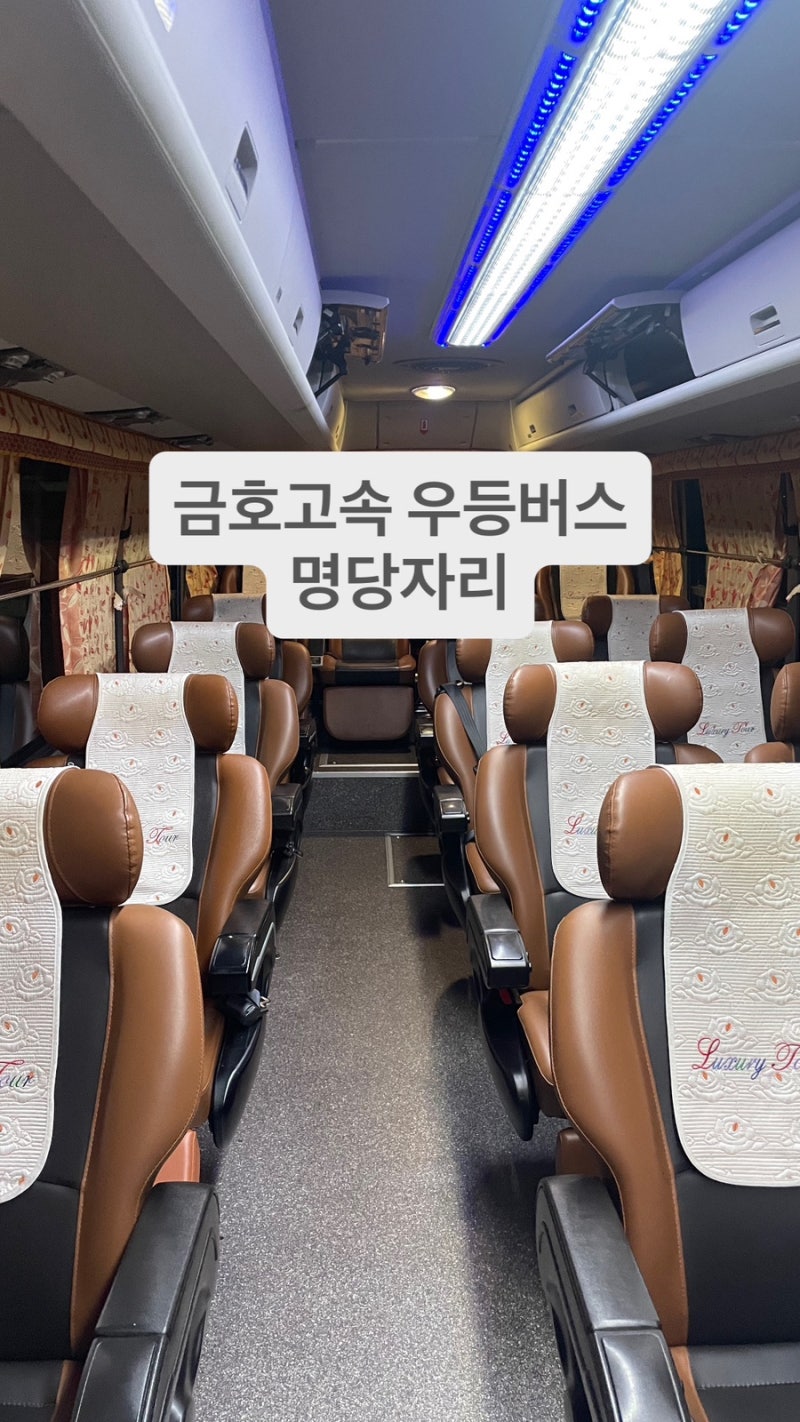 금호고속 우등 버스 명당 자리 꿀팁 + 24번 좌석 후기