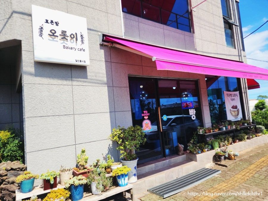 효돈빵오롯이 사진 2