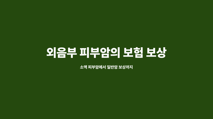  외음부 피부암, 단순 피부암일까? 일반암 보상일까?