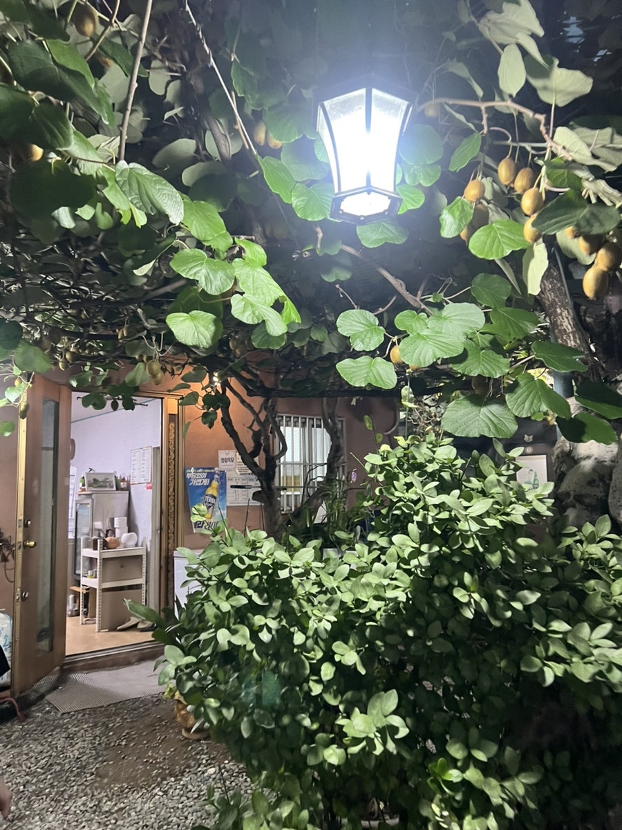계림나루 사진 2