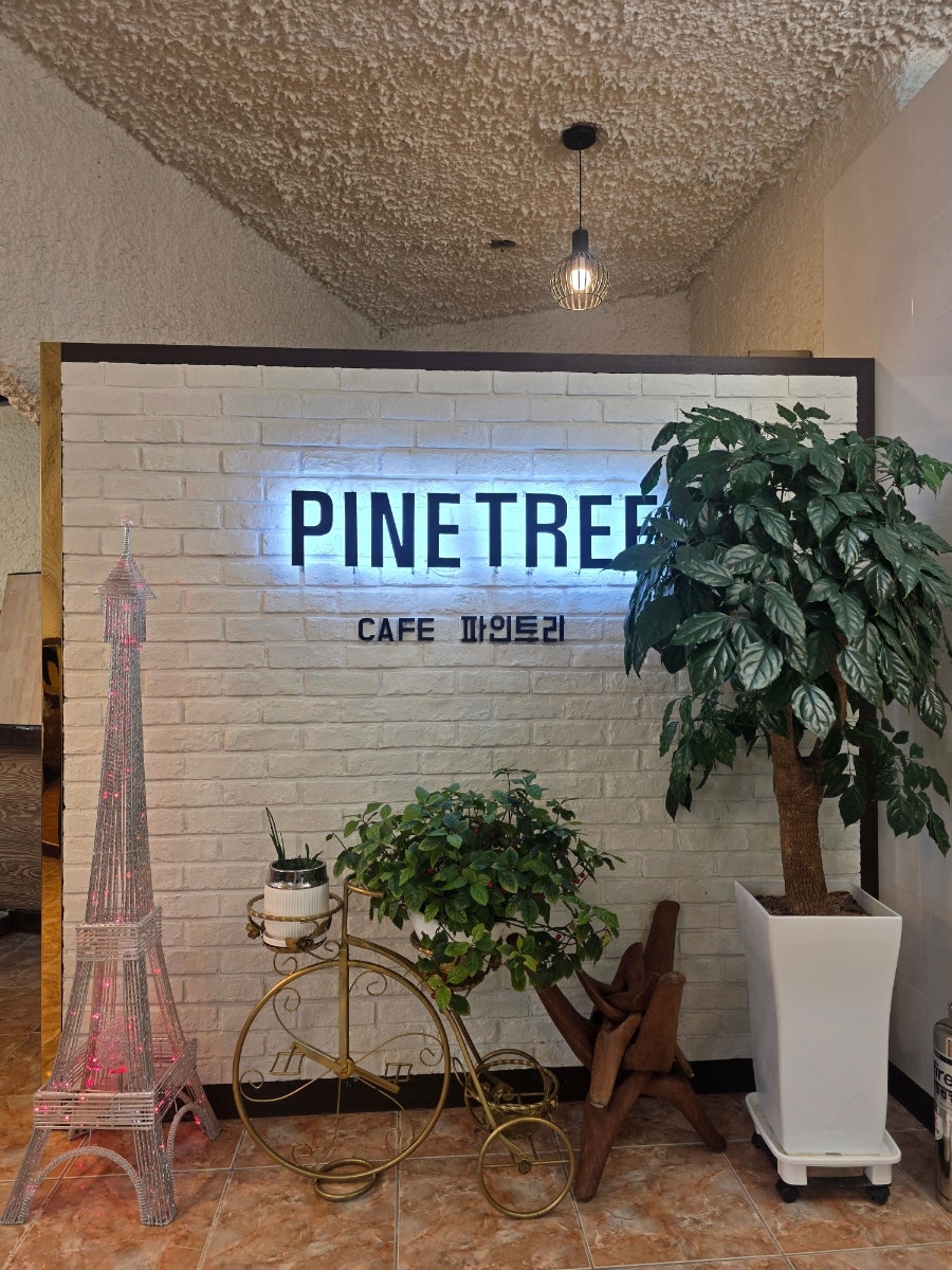 파인트리 사진 6