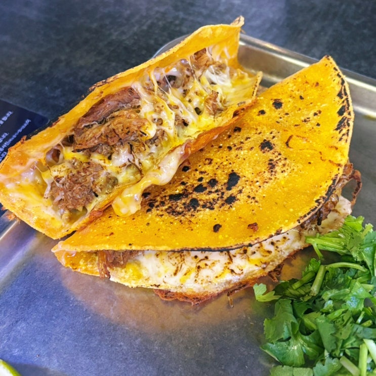  성수역타코 더타코부스 성수점 최화정 타코 맛집
