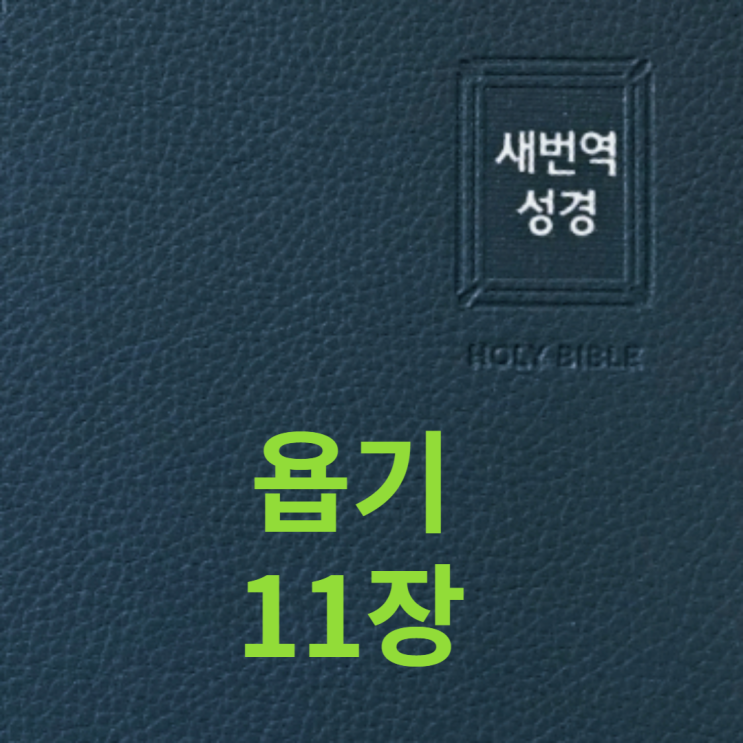 욥기 11장