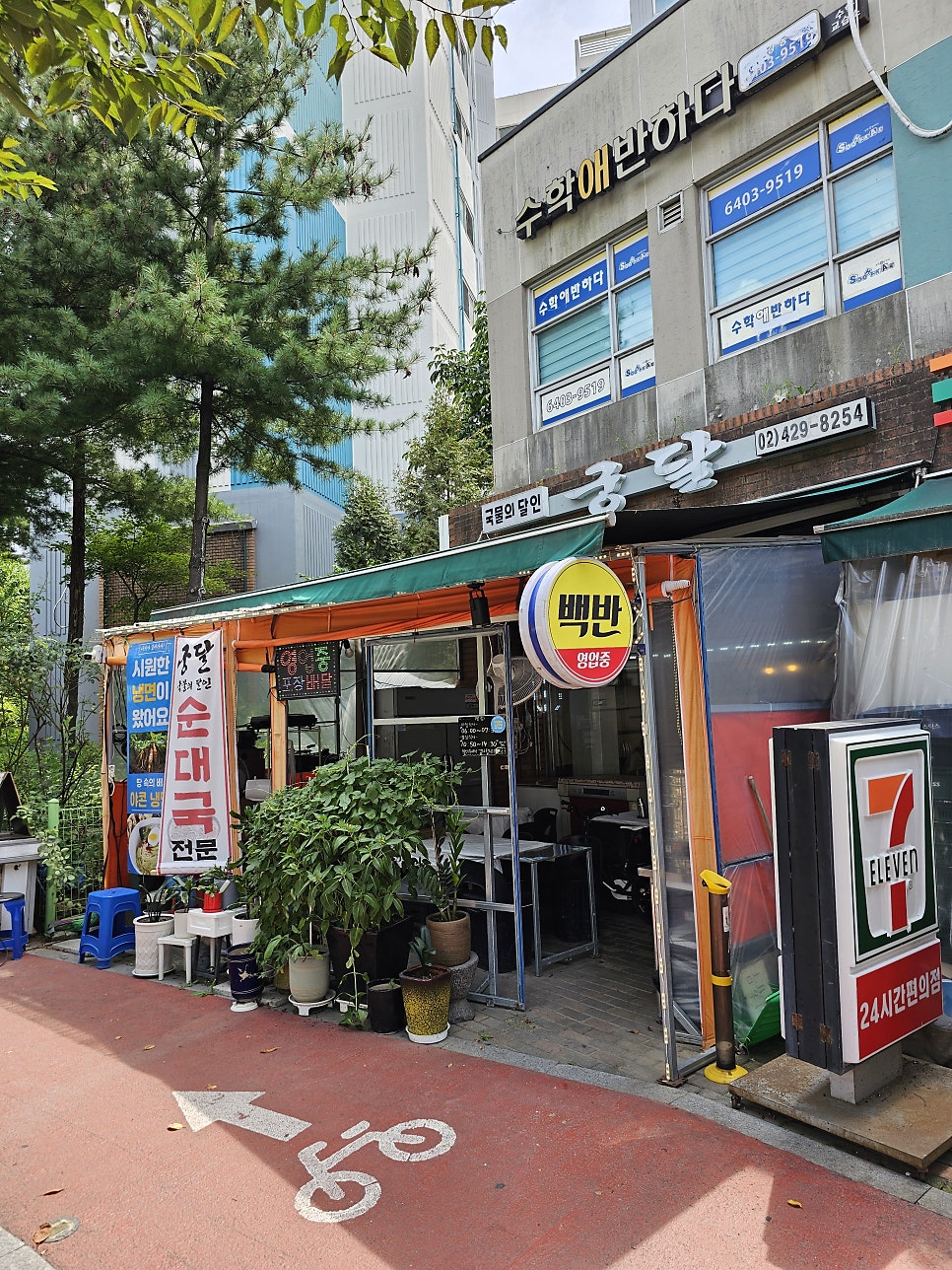 궁달 사진 1