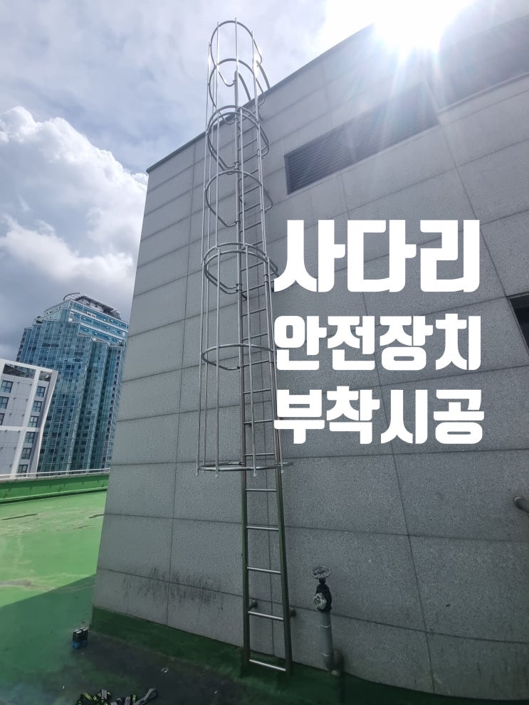  사다리 안전장치 설치, 방호울 부착 시공