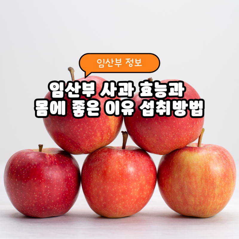 임산부 사과 효능과 몸에 좋은 이유 섭취 방법