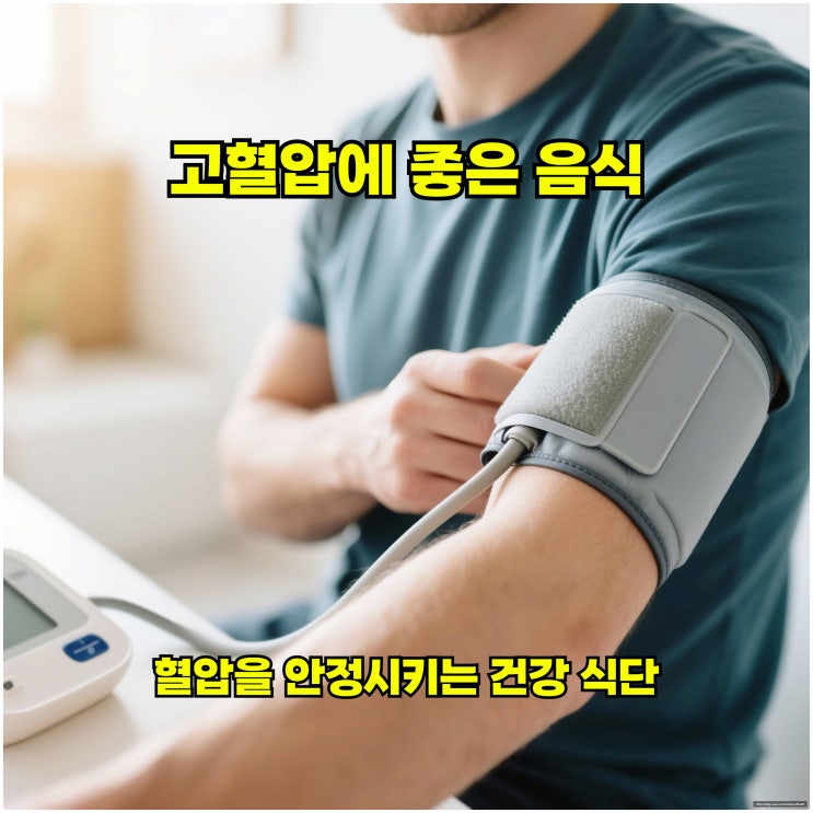  고혈압에 좋은 음식, 혈압을 안정시키는 건강 식단