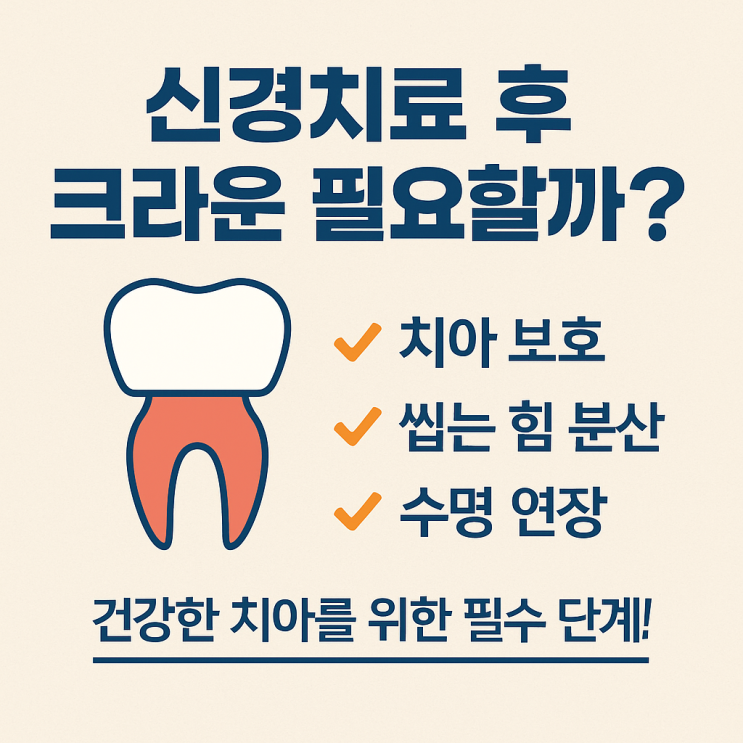   신경치료 후 씌우는 크라운은 꼭 필요한가요?