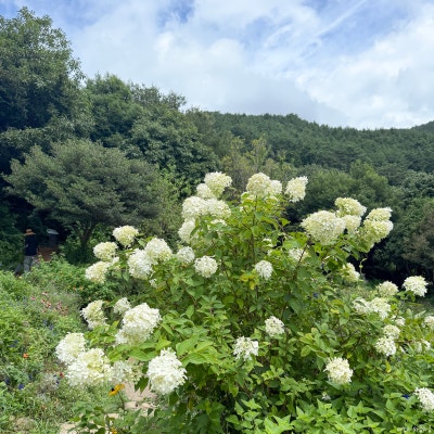 사진 6