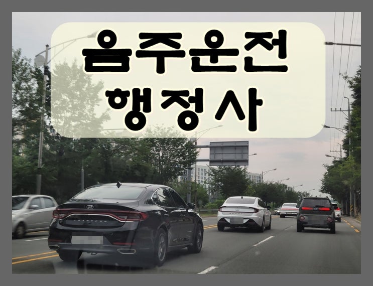  안동 행정사 음주운전 면허구제 행정심판