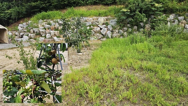 계곡예쁜집 사진 4