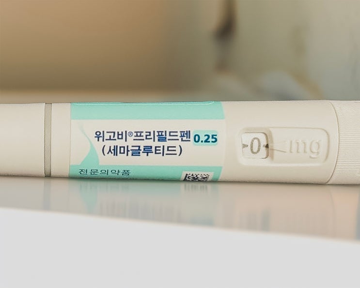  다이어트 주사 위고비 가격? 너무 비싸서 그만둔 이유 & 보조제 추천