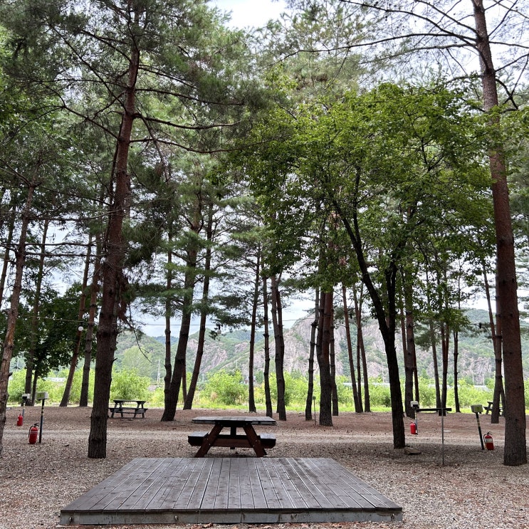  삼척 병풍바위야영장 조용하고 시원한 숲속 캠핑장 답사 후기