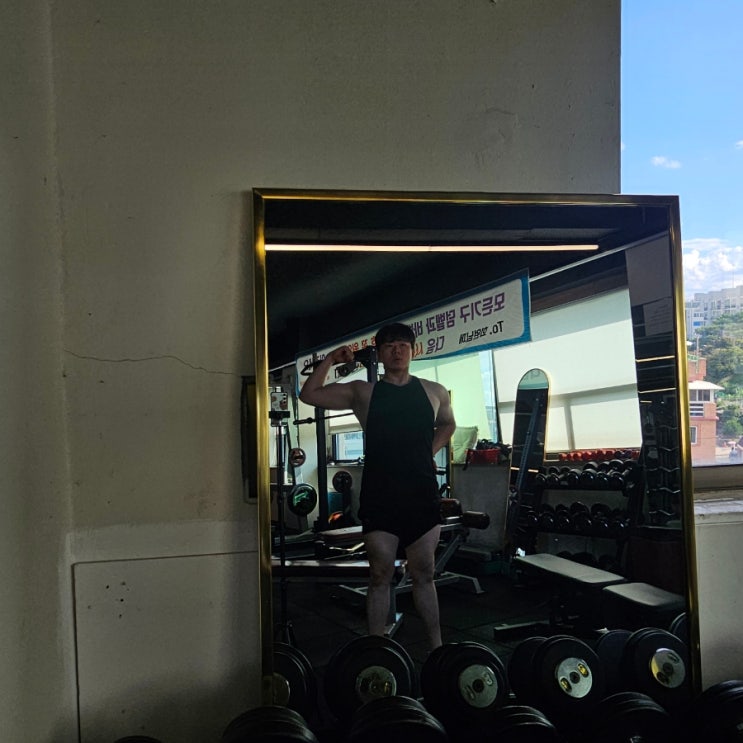 250819 삼두 이두 운동루틴 체형분석