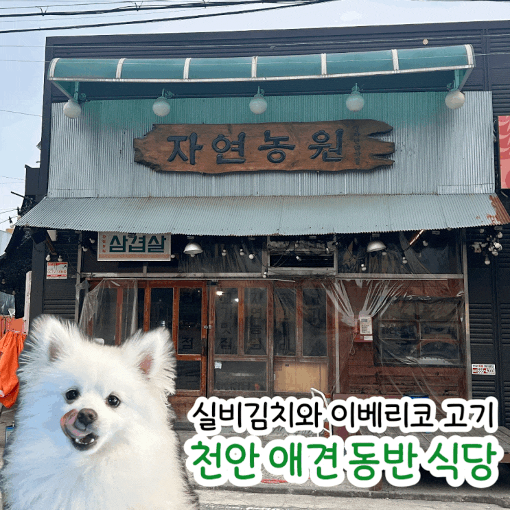  천안 애견 동반 고깃집 실비 김치도 함께 나오는 자연농원 내돈내산