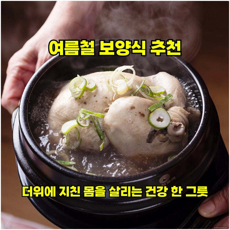  여름철 보양식 추천, 더위에 지친 몸을 살리는 건강 한 그릇