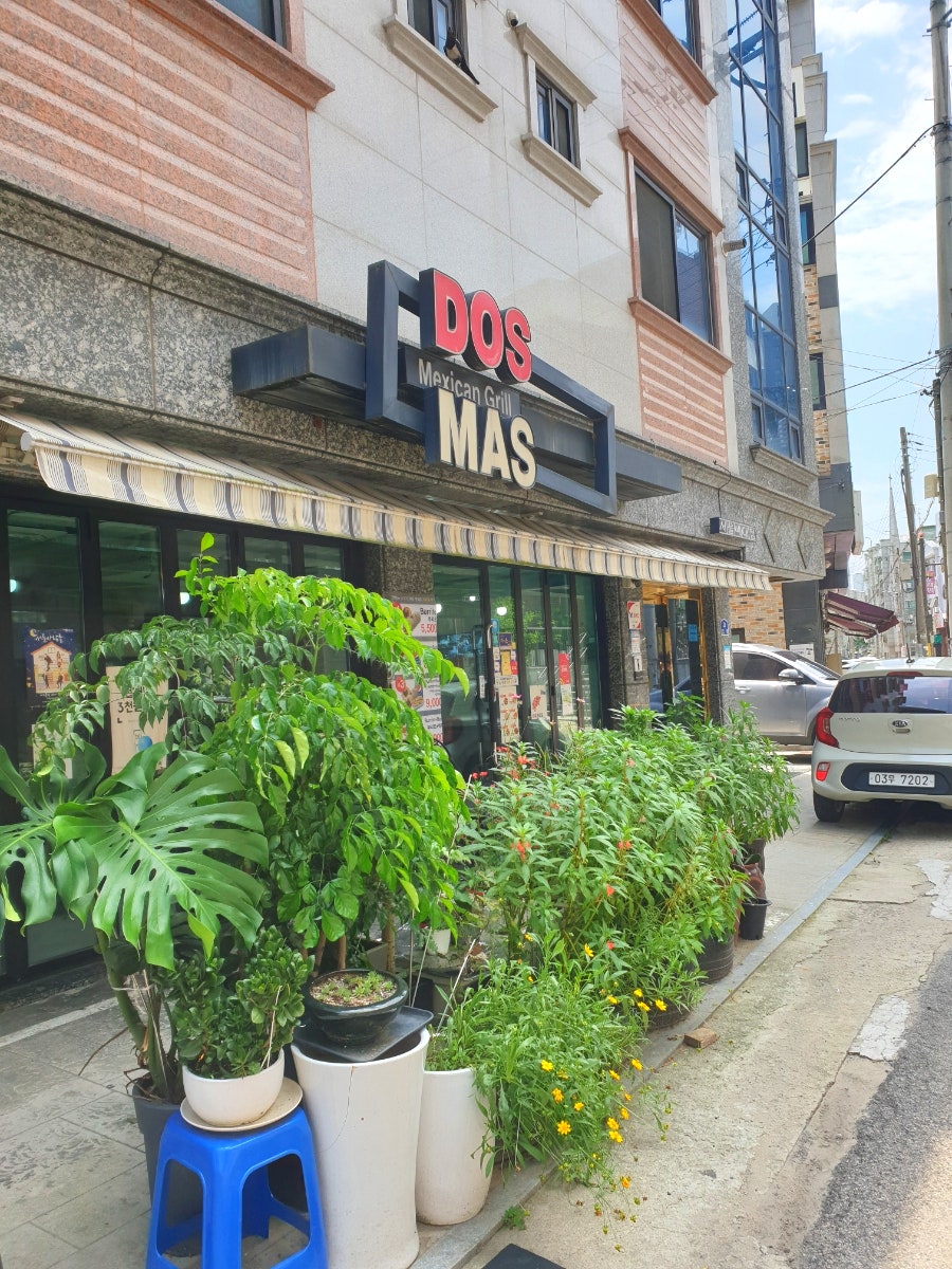 도스마스 한양대본점 사진 1