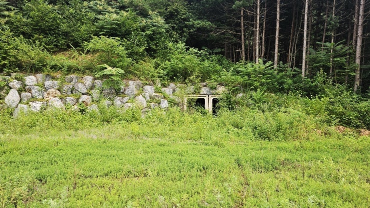 계곡예쁜집 사진 5